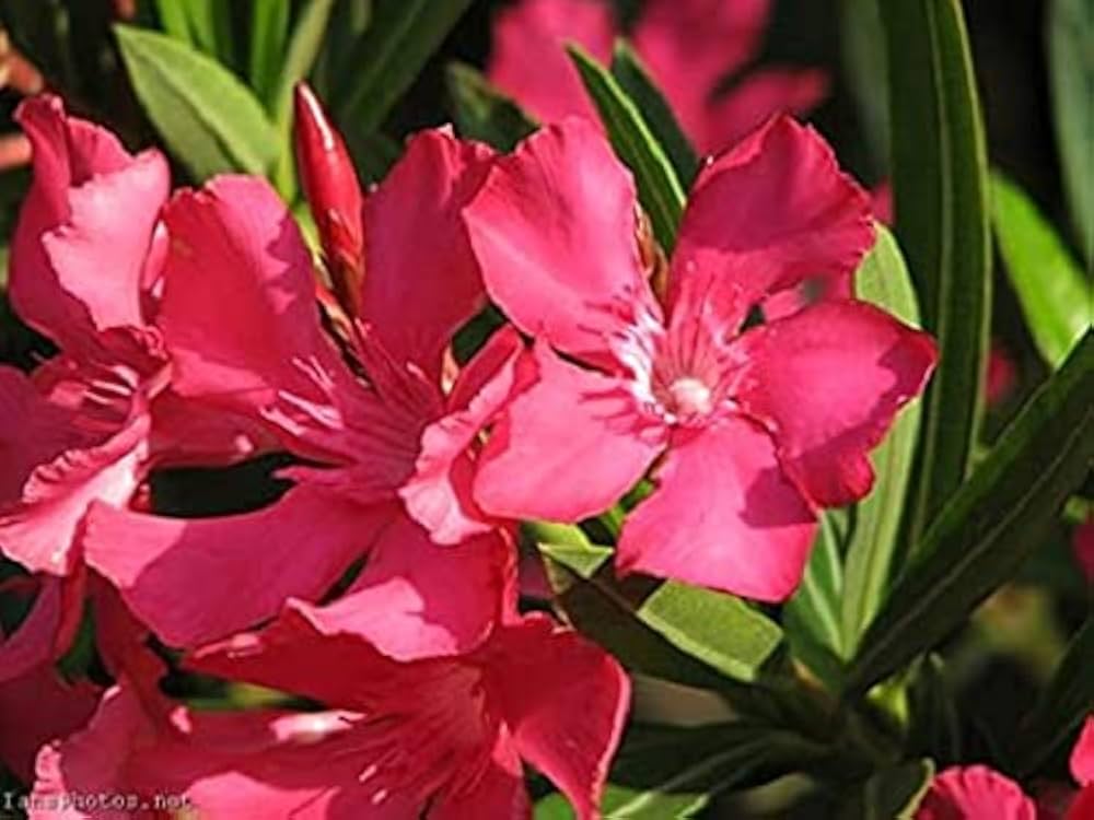 Khám Phá Thế Giới Giải Trí Trực Tuyến Với Xô Số 30 Ngay Cổng Game Đổi Thưởng Uy Tín