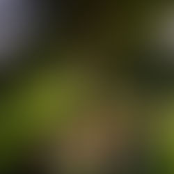 Khám Phá Https 69Vnxn.Com Cổng Ngõ Giải Trí Hấp Dẫn