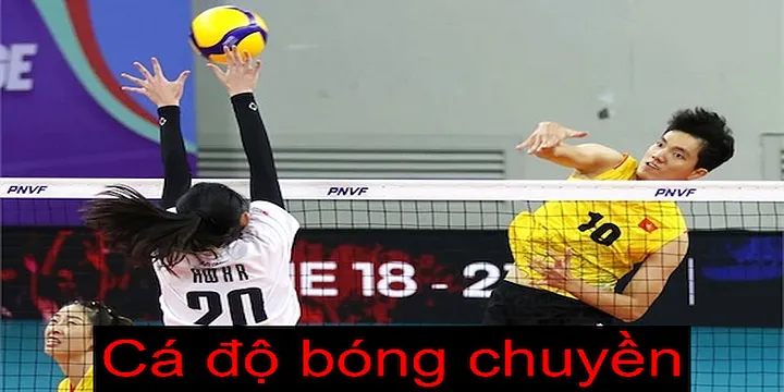 Trải Nghiệm Chơi Game Đỉnh Cao Tại Xe Máy Điện Honda Nhập Khẩu Nơi Giao Thoa Giữa Giải Trí Và Thú Vị
