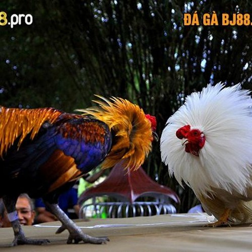 Khám Phá Soi Cầu Xổ Số Miền Bắc 888 Trải Nghiệm Đầy Kịch Tính