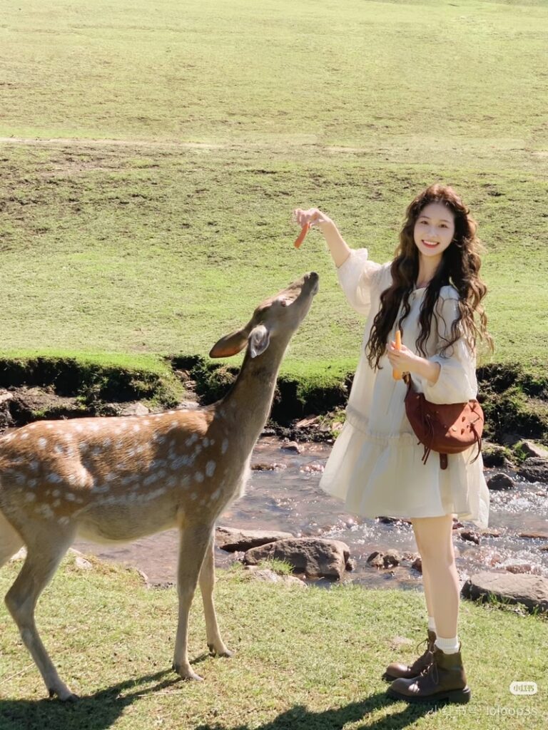 Hinh Con Gai Ngau Khám Phá Nghệ Thuật, Xã Hội Và Đời Sống Trong Thế Giới Số Hiện Đại